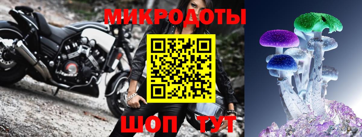 Галлюциногенные грибы прущие грибы  Псилоцибиновые грибы GOLDEN TEACHER  наркотики  Нижнекамск  Вход с VPN 